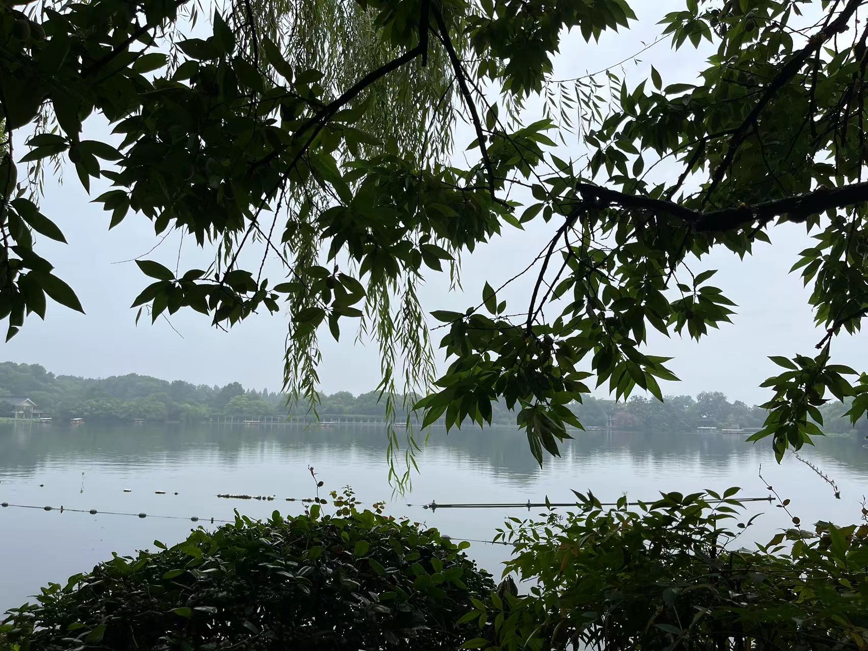 2023 Memorable Team-building Trip to Hangzhou - 21790147967 108663338183 f679e87f98c1b70277144640d449504a1